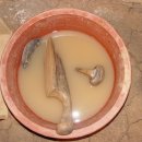 제주도예촌 이미지