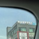 메젠손세차
