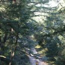 42번국도 이미지