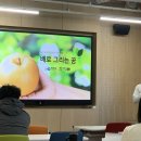 아름답게 그린배 영농조합 법인 이미지