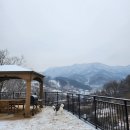 서린춘천 이미지