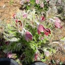 보성농원 이미지