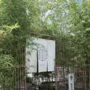 아미타 | 대구 동구 '아미타카페' 내돈내산 솔직후기