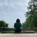 숲에 머물다 이미지