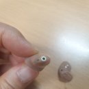 2층종로약국 이미지