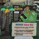 거제식물원 | 거제 아이랑 놀기 좋은 대형미끄럼틀 거제식물원!(내돈내산 솔직후기)