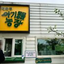 강릉 여행 알파카 먹이주기 대관령 아기동물농장