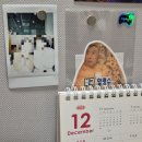 (주)엠디세이프 | 무도 키즈의 무한도전 20주년 팝업 방문기💥