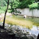 딸부자집민박 이미지