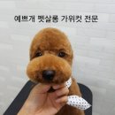 예쁘개펫살롱 이미지