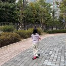 T-7 | 초등학생 어린이킥보드 추천 마이크로 맥시 T 디럭스 7세 사용 후기