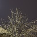 수원-0804 | 윤병임 속기사의 '미세스 다웃 파이어' ("입 벌려라 사랑 들어간다.") 관람 후기