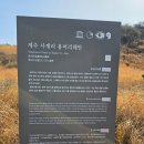 제주 산방산 암벽식물지대 | 3월 제주도 가볼만한곳 산방산 유채꽃 명소 구경하고...시간 맞춰 다녀온 서귀포 여행코스 오션뷰 카페...