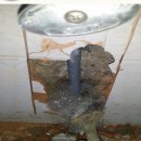 봄날초이스의원 이미지