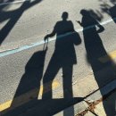 파리바게트(재송점) | 海南的 “三亚” （2）💐