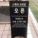 스케네 브라운