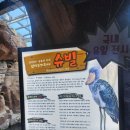 사천 가볼 만한 곳 아라마루 아쿠아리움 방문 후기