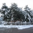 산장낚시터 이미지