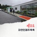 자연인힐링족욕