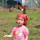 산막농장 이미지