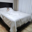 화이트크라운(자연의꿈) | 이케아 구스이불과 크라운구스 편안했던 선택
