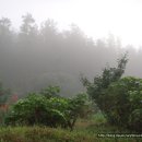 형국농장 이미지