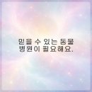 토브 동물병원 | 반려동물의 건강을 위한 동물병원 고르는 법