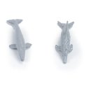 주식회사 벨루가 이미지