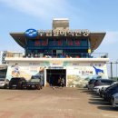 [경주시/감포읍] &lt;부부수산&gt; 감포 수산시장, 신선 그 자체, 회 맛집, 감포 활어직판장