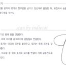 돼지토끼 이미지