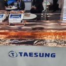 태성전기 이미지