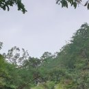 장지마을(중)(28274) (옥외1) | 안동시티투어 가을 맞이 힐링여행 만휴정 묵계서원 이육사문학관 선성수상길 함께 떠나요