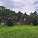 매탄3동 1181-6~매탄3동 1174-6 | 충주-중원백 최공의(崔公義),정경공 최홍사(貞敬公 崔弘嗣),좌복야 최우청(左僕射 崔遇淸),추담 최개국...