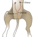 같은마음 동물병원 이미지