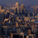 부귀영화와 한국민화 | 🎨 민화 속 상징들로 읽는 조선의 세계관