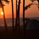 마검포힐링캠핑장 이미지