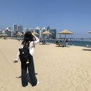 하당로 289번길 6 | SMU 종강 후 한국 여름방학 일상 5~6