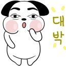 꽃보라동산 이미지