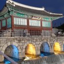 국제행정사 이미지