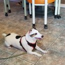 은정다방 이미지