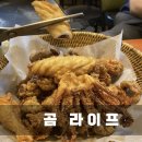 곰커피호프 이미지