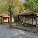 캠프오후4시 이미지