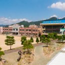 안천초중고 한국일보