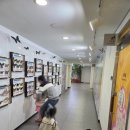 나비공원2(주차장) 이미지