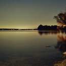 kiss My Dog 이미지