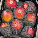 대산청과 이미지