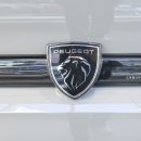 408 | 포항 부산 푸조 전시장 408 스마트 하이브리드 GT 방문 후기