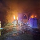 양계장닭한마리 이미지