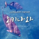 오키나와 스노클링/스노쿨링 + 카약은 푸른동굴 마린클럽 나기! (후기 및 예약 방법)