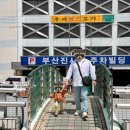 부산진사장네 | [부산 진시장] 어린이집 등원 준비, 아기 한복 ‘보은한복’에서 내돈내산 성공 후기 🌸